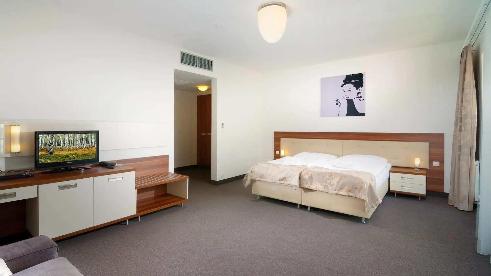 Hotel Malta 카를로비바리 체코